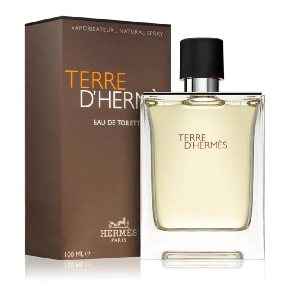 Hermes Terre D’Hermes Perfume for Men – EDT – 100 ml
